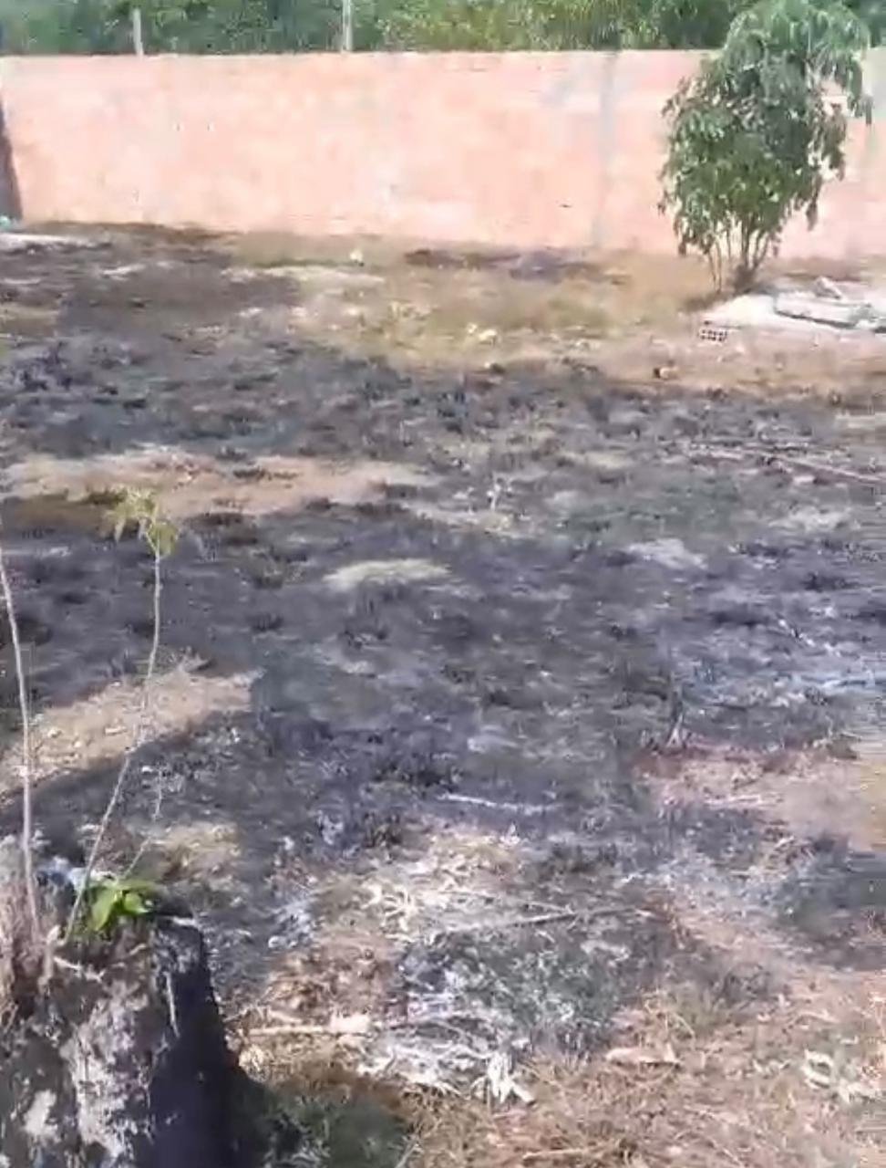terreno foca foto 1